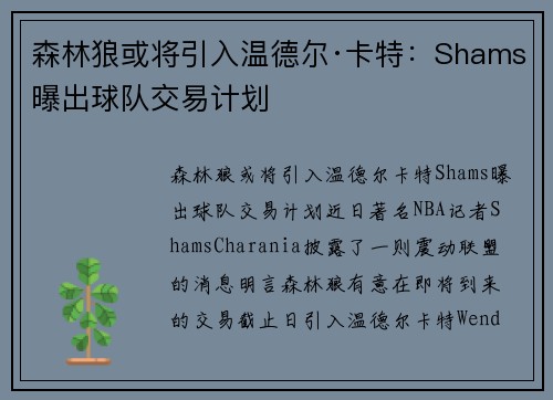 森林狼或将引入温德尔·卡特：Shams曝出球队交易计划